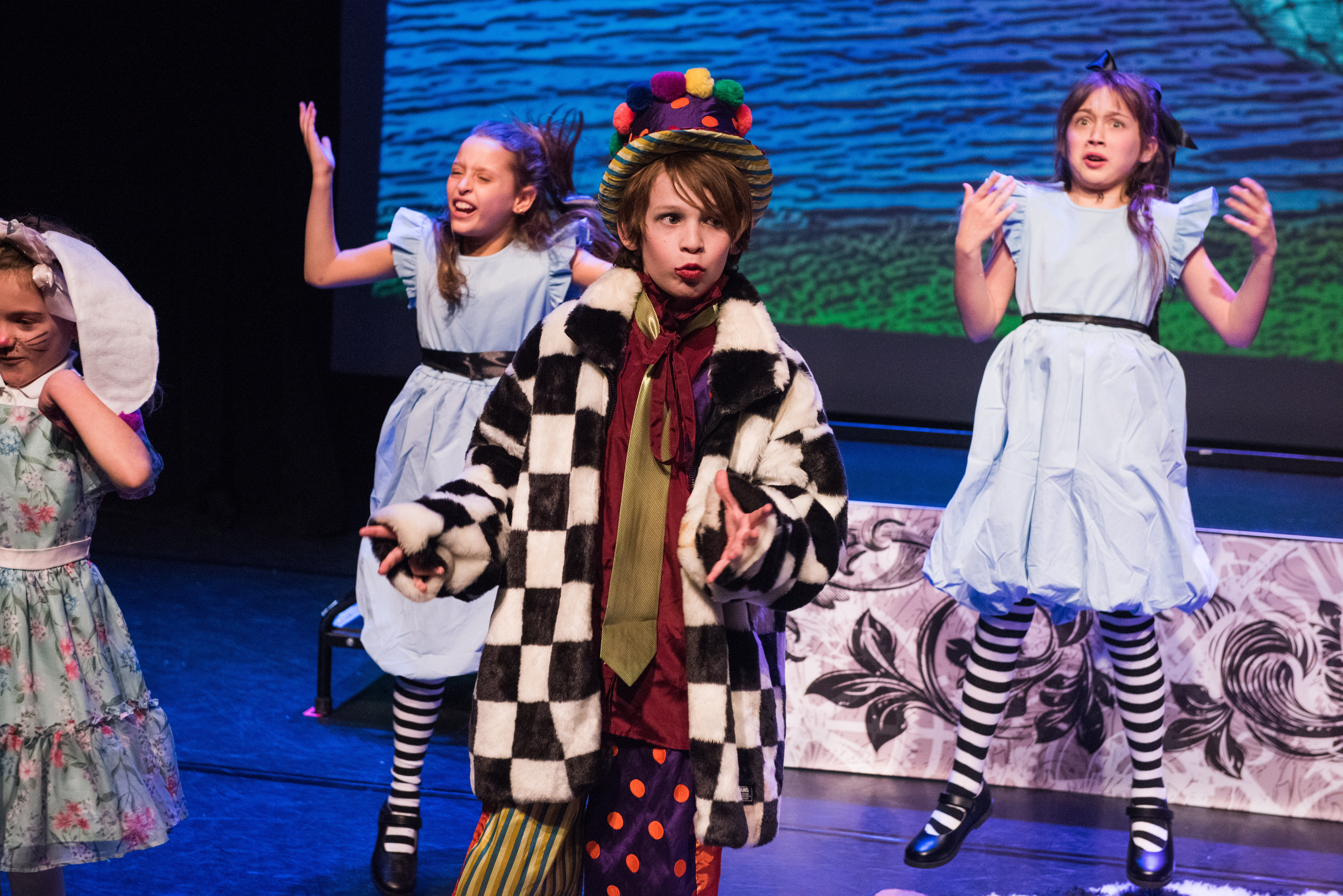 ALICE IN WONDERLAND (65 of 136)